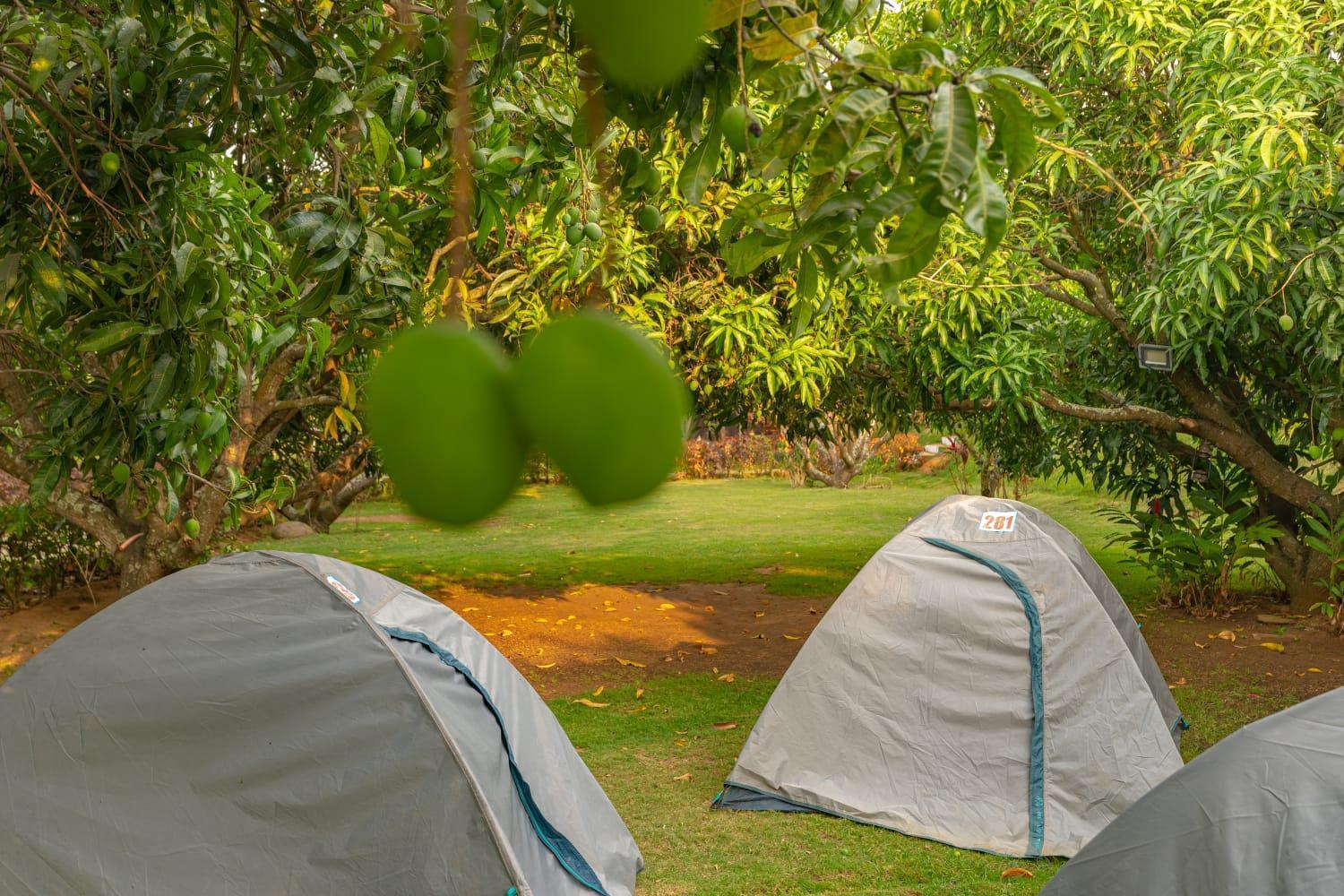 Q Mango Resort Rāmanagaram Kültér fotó